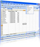 SMS Excel Plugin